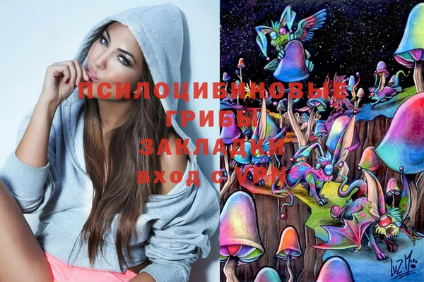 МДМА Бородино