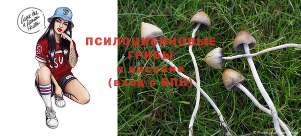 трава Верхний Тагил