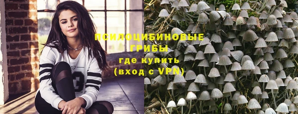МДМА Бородино