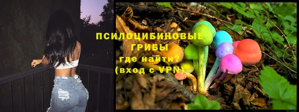 соль ск Верея