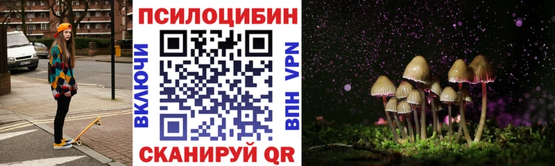 hydra ТОР  Верхняя Пышма  Псилоцибиновые грибы Psilocybe 